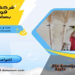 شركة عزل فوم بصفوي
